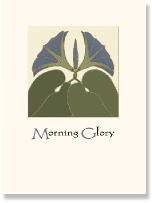 MorningGlory