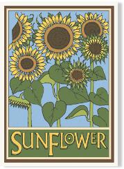 SunflowerA6
