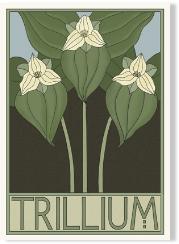 TrilliumA6